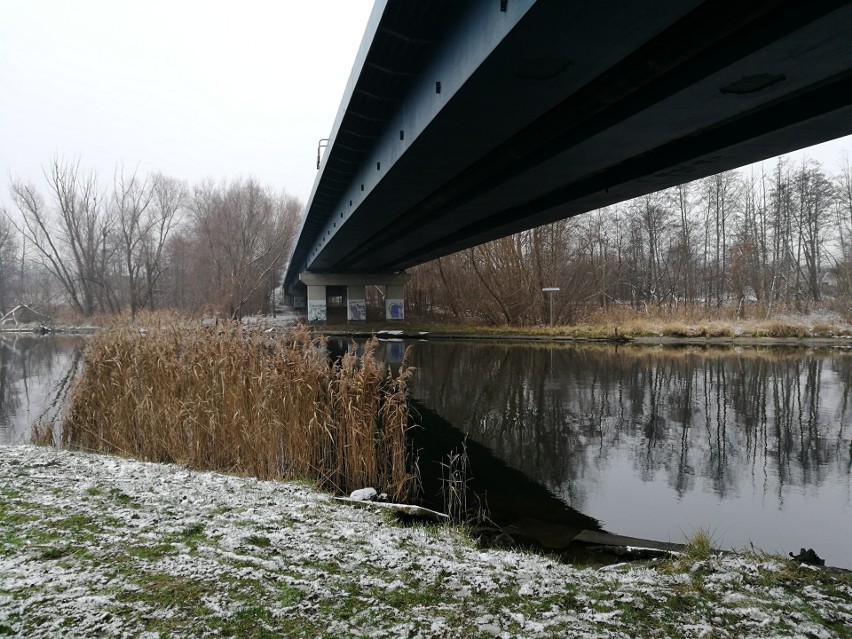 Zwłoki mężczyzny wyłowiono z Brdy pod Mostem Kazimierza...