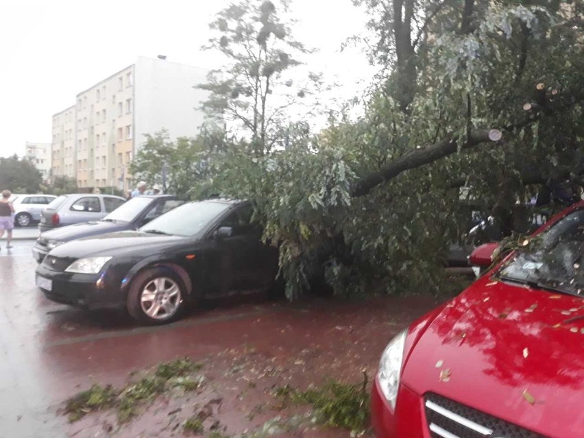 Potężna burza nad północnym Podkarpaciem. Zobacz jakie poczyniła zniszczenia [ZDJĘCIA]