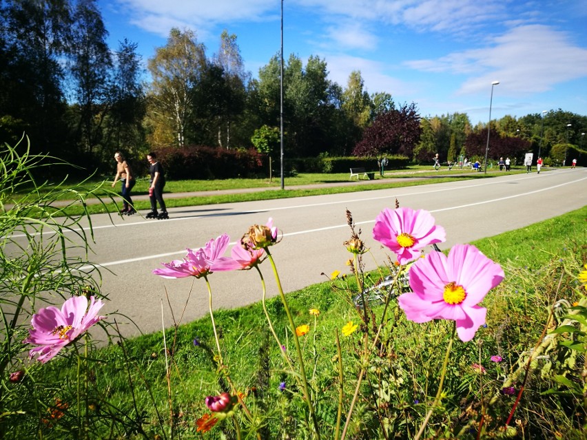 Dolina Trzech Stawów w Katowicach i Park Śląski w...