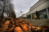 Koszutka, najmodniejsza dzielnica Katowic. Zobaczcie osiedle z widokiem na Spodek w obiektywie Kariny Trojok, fotoreporterki DZ