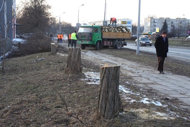 Drzewa przy ulicy Świętokrzyskiej wycinane były na początku marca. Los drewna zaniepokoił okolicznych mieszkańców.
