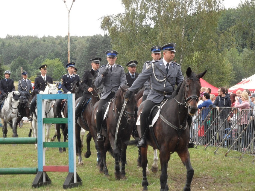 Policjanci rywalizowali na koniach w Częstochowie [ZDJĘCIA]