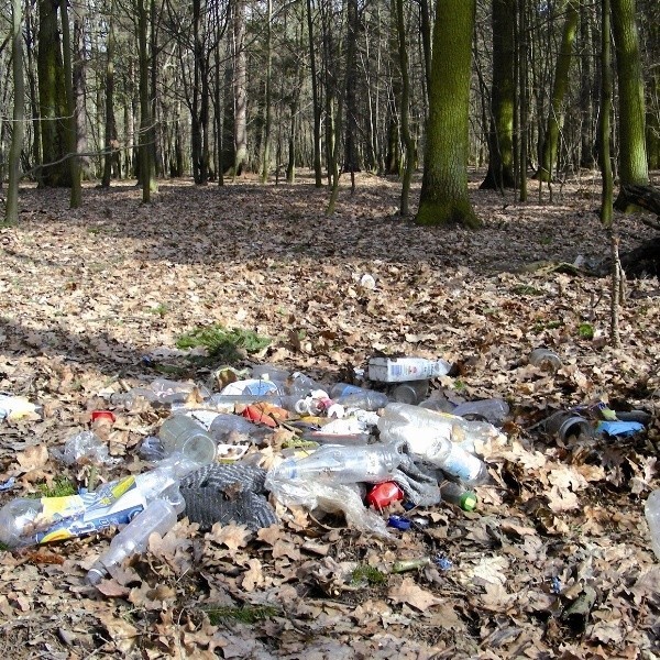 Wielu hajnowian, zwłaszcza z domów jednorodzinnych, traktuje las jako składowisko śmieci