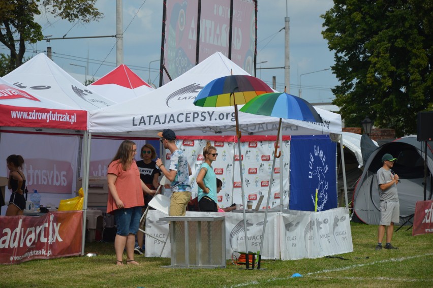 "Latające psy" 2018 w gdyńskim Parku Kolibki, czyli emocjonujące zawody w dogfrisbee