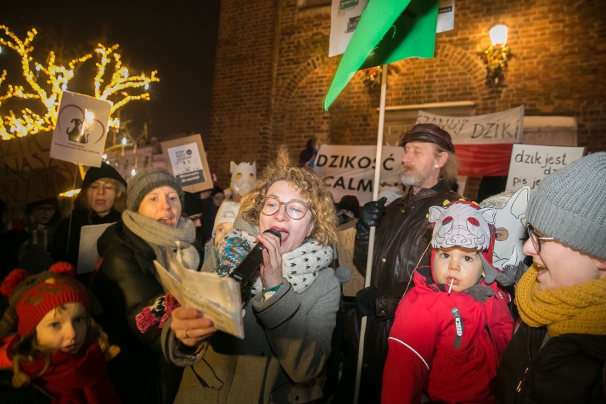 Dziki protest w obronie dzików w Krakowie. "Dzik czuje, tak jak kot prezesa", "Strzel se w łeb" [ZDJĘCIA]