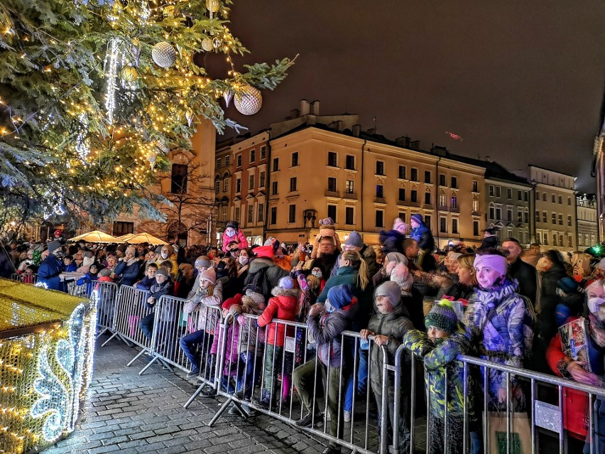 Na Rynku Głównym rozbłysła największa choinka w Krakowie. 15-metrowy świerk zdobi 26 tysięcy światełek! [ZDJĘCIA]