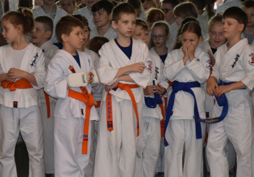 Ostrołęka. Mistrzostwa MKKK Shinkyokushin w Ostrołęce. 29.05.2021. Zdjęcia