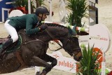 Cavaliada. Gwiazdy światowego jeździectwa wystartują na czterogwiazdkowych zawodach w Poznaniu. W puli nagród jest ponad 800 tysięcy złotych
