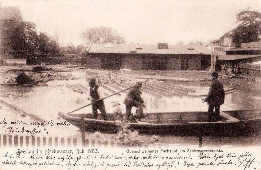 Powódź zalała fermę lisów na pl. Strzeleckim - lipiec 1903...