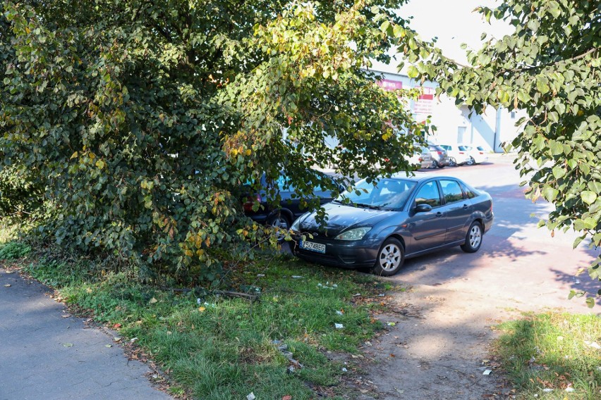 Parking dyskontu w Dąbiu