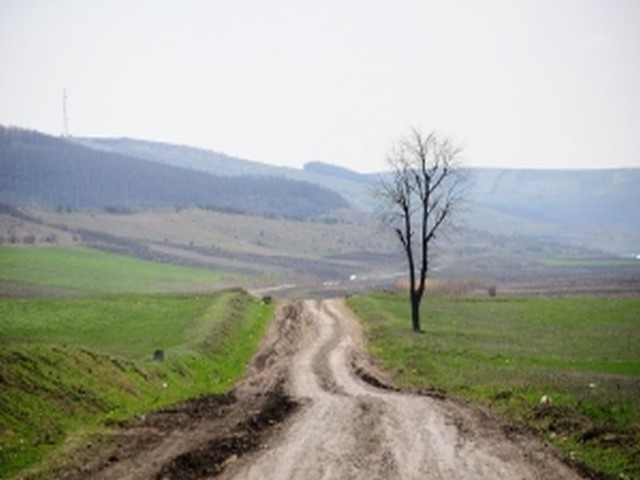 220 tys. zł. otrzymają trzy gminy: Książki, Wąbrzeźno i Dębowa Łąka na modernizacje dróg prowadzących do gruntów rolnych.
