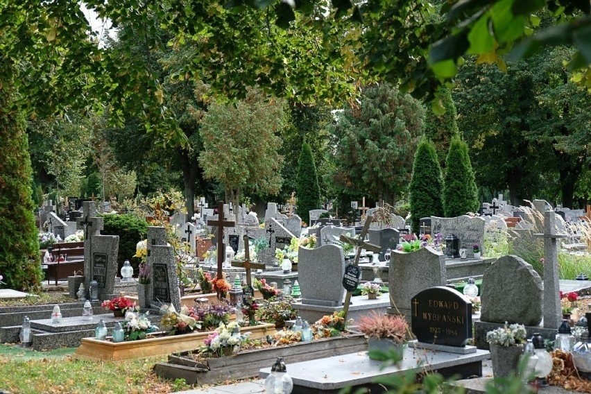 Cmentarz w Żarach ma swoją wyszukiwarkę grobów
