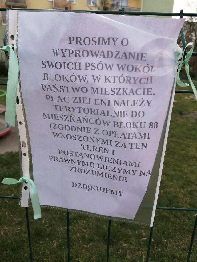 Mieszkańcy jednego z bloków przy ul. Skłodowskiej-Curie poprosili o wyprowadzanie psów wyłącznie wokół bloków, w których mieszkają właściciele pupila.