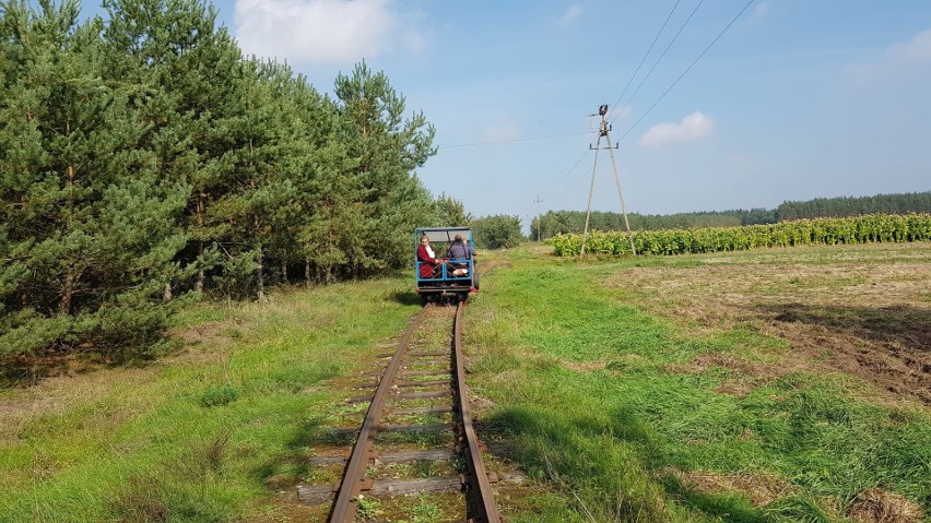 Co dalej z Ciuchcią Expres Ponidzie? Koszt jej remontu to ponad 30 milionów złotych, samorządy podpiszą porozumienie (ZDJĘCIA)