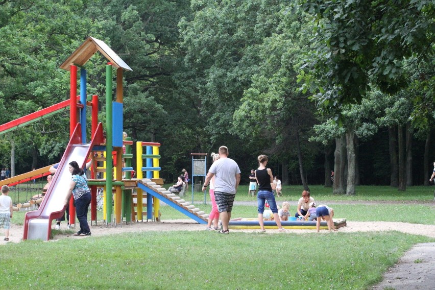 Tak dziś wygląda park Zielona w Dąbrowie Górniczej