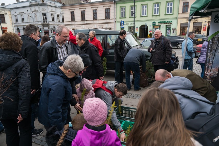 Sadzonki rozeszły się na pniu