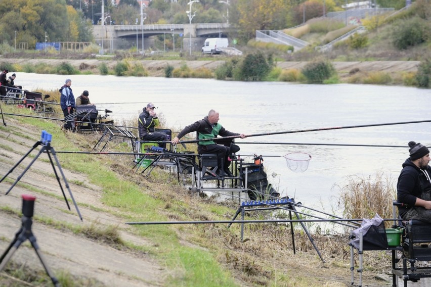 Przygotowania do zawodów w wędkowaniu spławikowym na Warcie...