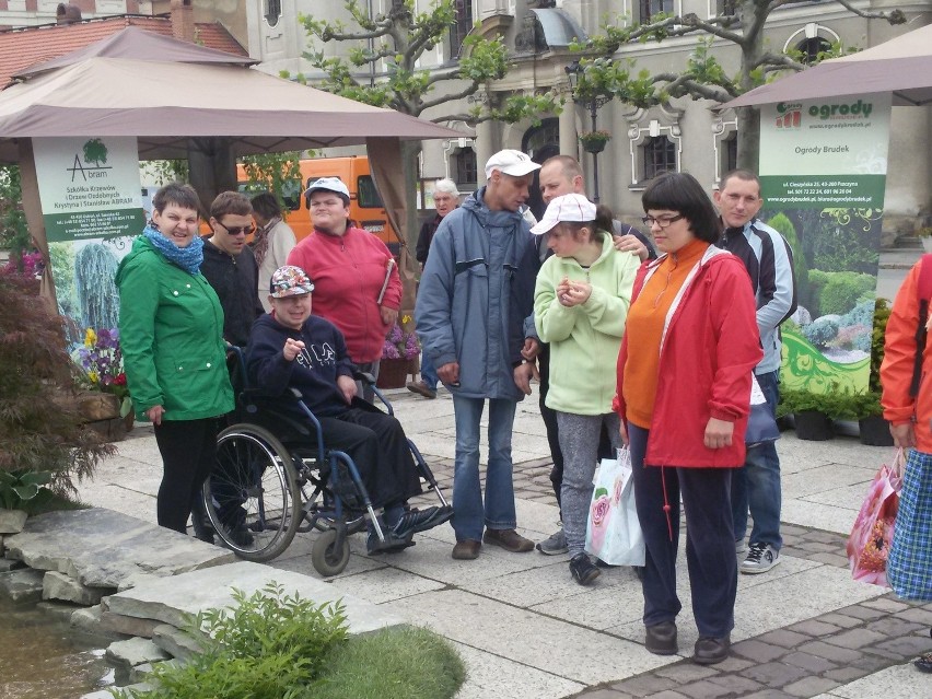 Rynek w Pszczynie na Daisy Days zmienił się w ogród