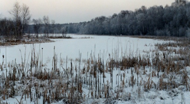 Tęsknisz za śnieżną zimą i jej urokami? Zobacz, jak pięknie wyglądały zakątki Puszczy Kozienickiej w zimowej scenerii.>