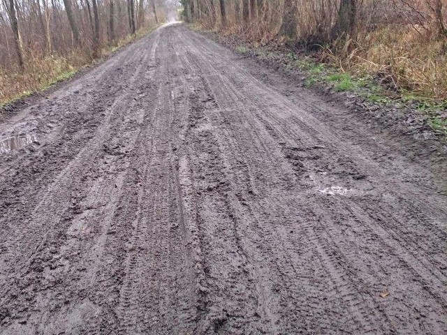 Mieszkańcy Cisin zaalarmowali wojewodę o tragicznym stanie drogi w ich wsi. Żalą się, że są ignorowani przez radnych z Lniana.