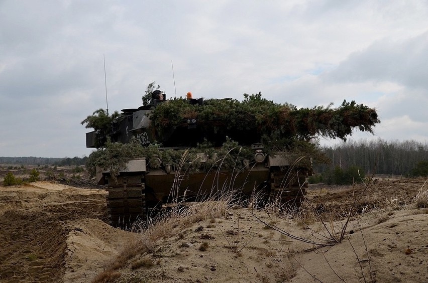 Ćwiczenia 1. Brabanckiego batalionu czołgów na poligonie w...