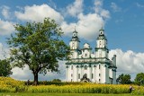 Jeszcze w zielone gramy. Zmieniamy betonowe plany, czyli jak uratować miasta przed suszą?