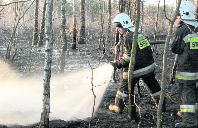 Bardzo sucho jest w lasach. Białobrzescy strażacy w ostatni weekend kilka razy gasili ogień.
