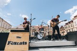 Koncert zespołu The FoxCats na skwerze kultury obok rzeszowskiego ratusza