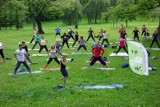 Bezpłatna joga, tai chi i nartorolki. Zielona Łódź zaprasza na letnie zajęcia w parkach.