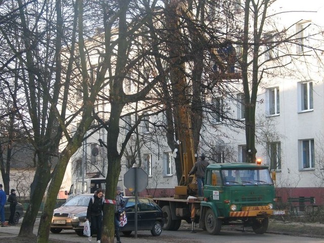 W czwartek, z powodu braku informacji o zakazie parkowania na poboczu ulicy Słowackiego, kierowcy zaparkowali samochody, a ekipy prowadziły wycinkę drzewostanu.
