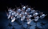 „Jezioro Łabędzie” w wykonaniu Moscow City Ballet w lutym w Ostrowcu [WIDEO]