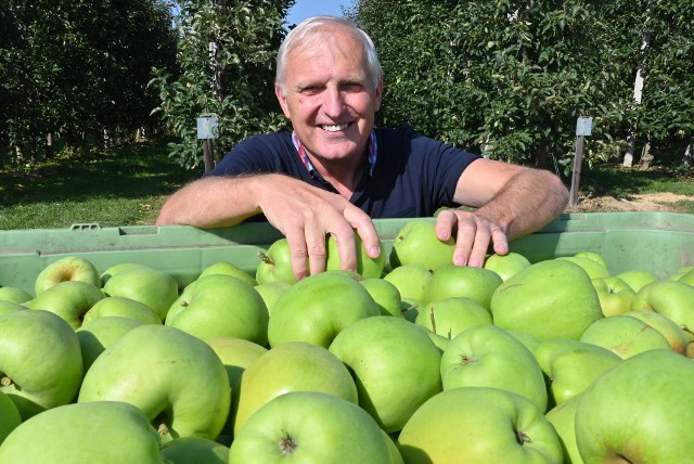 Zbigniew Rewera z Sandomierza liczy, że ceny jabłek jeszcze pójdą w "górę"