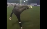 Bramkarz Besiktasu wkręcił piłkę zza bramki (WIDEO)