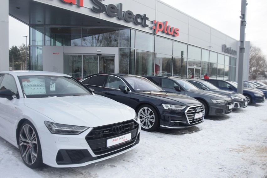 Salon Audi w Radomiu już otwarty. Setki osób oglądało nowoczesne samochody, przygotowano wiele atrakcji. Zobaczcie zdjęcia