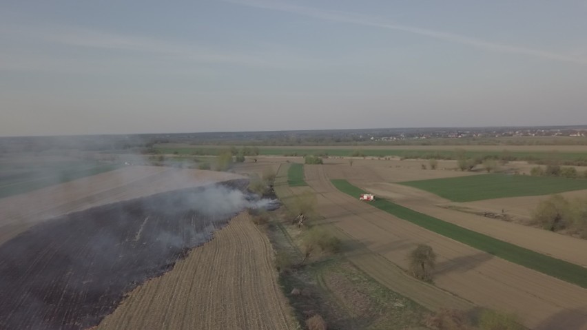 Pożaru pól w rejonie ul. Dolnoleżajskiej w Jarosławiu...