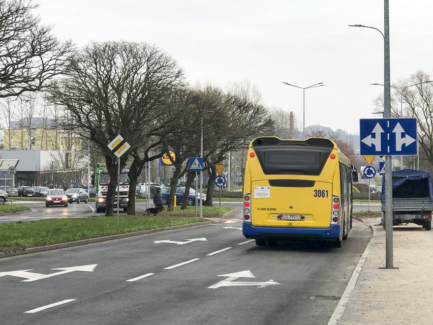 Potrąceń pieszych przybywa w Słupsku. Będzie więc doświetlenie dodatkowych przejść dla pieszych jeszcze w tym roku [ZDJĘCIA]