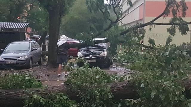 Burza w Łodzi. Nawałnica nad Łodzią. Powalone drzewa, gałęzie na drogach, zalane ulice [ZDJĘCIA]