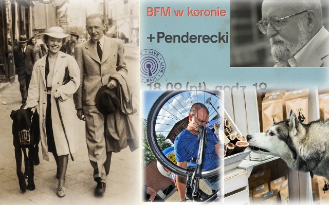 W przedostatni weekend września w Bydgoszczy rozpoczyna się święto melomanów - Bydgoski Festiwal Muzyczny w koronie, jak i święto miłośników fotografii analogowej - Vintage Photo Festival. Zaczerpnąć warto też dużej dawki ekologii - Sprzątanie Świata razem z Czystą Puszczą Bydgoską, wybór dwóch rowerowych kółek, o które można zadbać na Mostowej czy ekowarsztaty dla dzieciaków w Myślęcinku. Jest też do okazja do świętowania 92. urodzin autora kultowej bydgoskiej powieści „Mostu Królowej Jadwigi”.