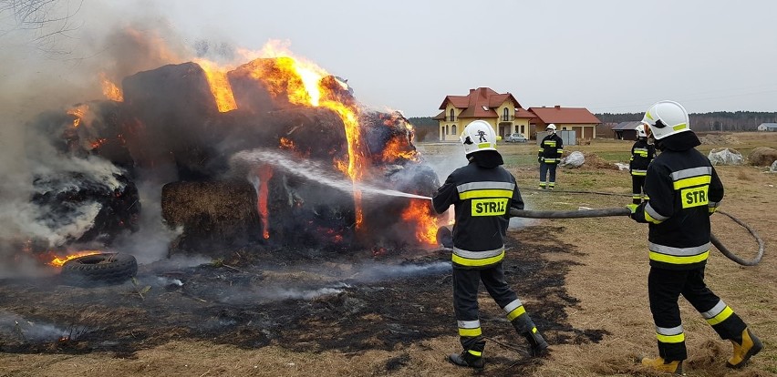 Pożar w Jeżowem. Strażacy gasili płonące baloty słomy. Najprawdopodobniej było to podpalenie [ZDJĘCIA]