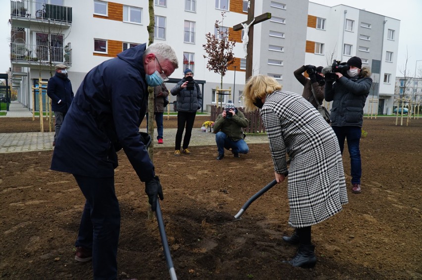 W czwartek na Strzeszynie nasadzono 36 dębów czerwonych,...