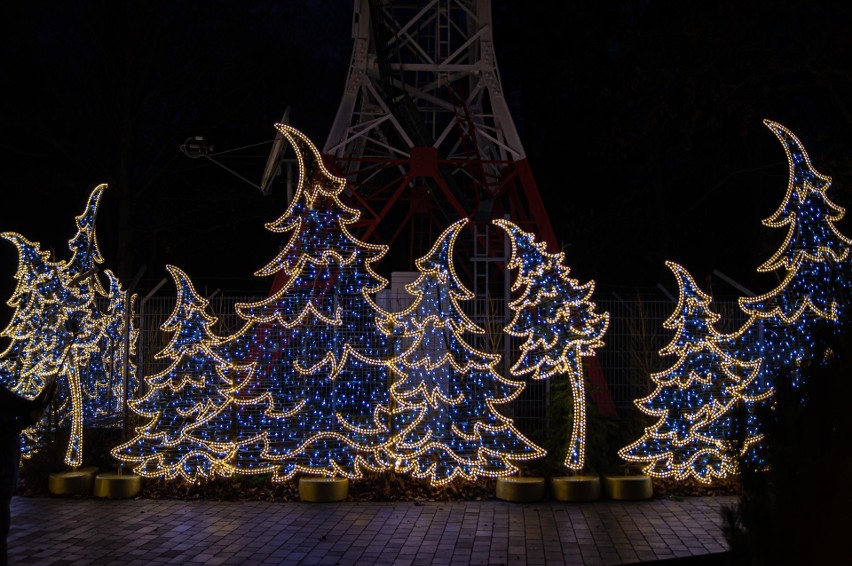 Zachwycający Park Świateł na Górze Parkowej. To miejsce w Krynicy-Zdroju rozświetlają setki tysięcy lampek. Zobaczcie zdjęcia!