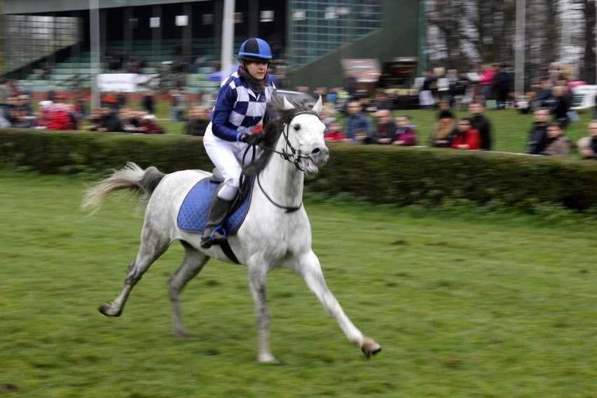 Hubertus 2013: Najszybsze konie biegły z prędkością 60 km/h. Bombonierka najlepsza (ZDJĘCIA)