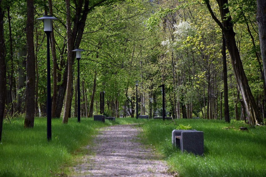 Ścieżka rekreacyjna w zabytkowym parku w Trzebielinie
