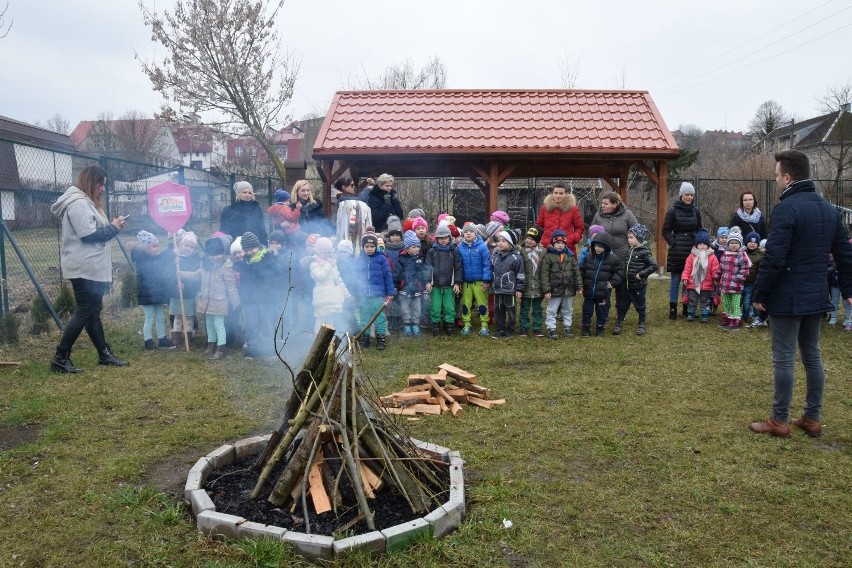 Łomża. Przedszkolaki spaliły marzannę w ognisku (zdjęcia, wideo)