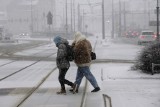 Atak zimy w Poznaniu i w Wielkopolsce. Szaleją zamiecie i zawieje śnieżne. Na ulice wyjechały pługi. Zobacz zdjęcia