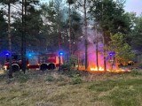 Pożary w powiecie toruńskim. Kolejne zastępy strażackie interweniowały w Małej Nieszawce