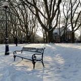 Zima w Szczecinie w obiektywie naszych czytelników [zdjęcia]