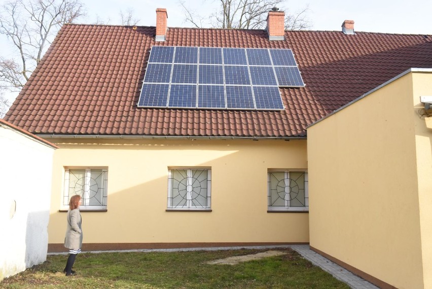 Z programu może skorzystać osoba będąca...