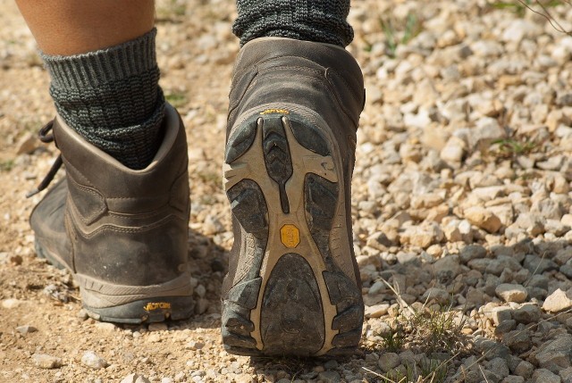 MOSiR Radomsko zaprasza na trekking po Przedborskim Parku Krajobrazowym