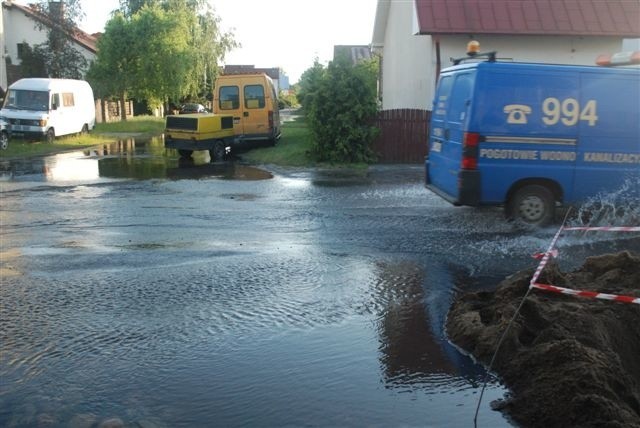 Dąbie zalane...